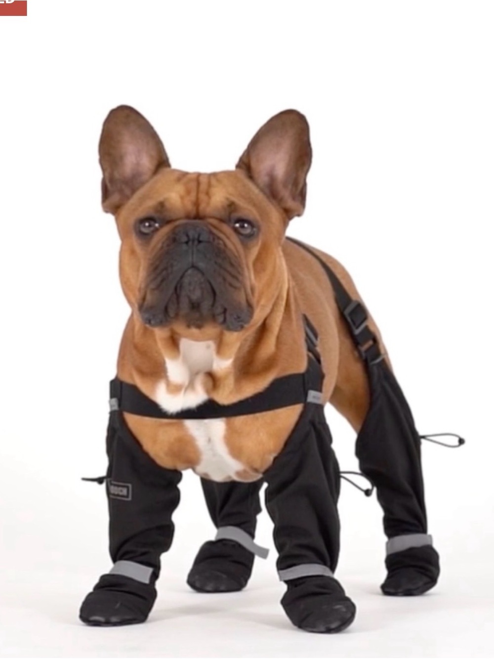 Canada Pooch Suspender Boots